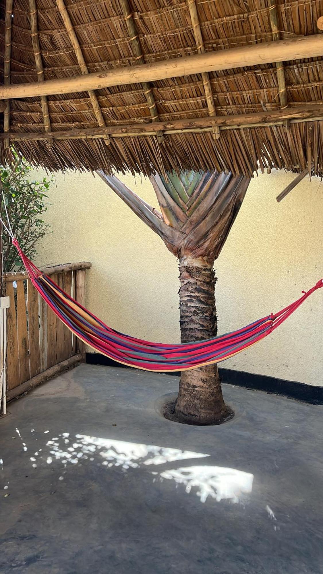 Stasumo House Arusha Bed & Breakfast Exterior photo